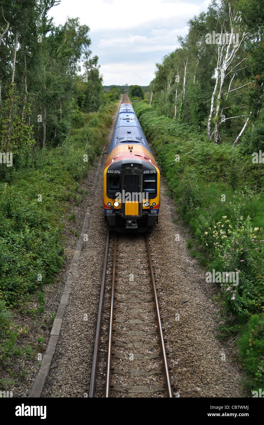 A South West Trains Class 450 electric multiple unit works a Brockenhurst to Lymington Service through the New Forest. Stock Photo