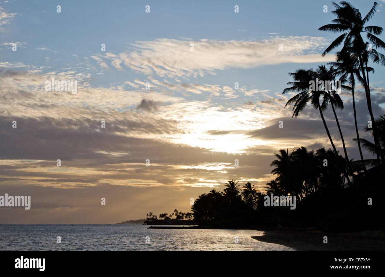 Beautiful Hawaiian beach sunset with majestic palm trees Stock Photo ...