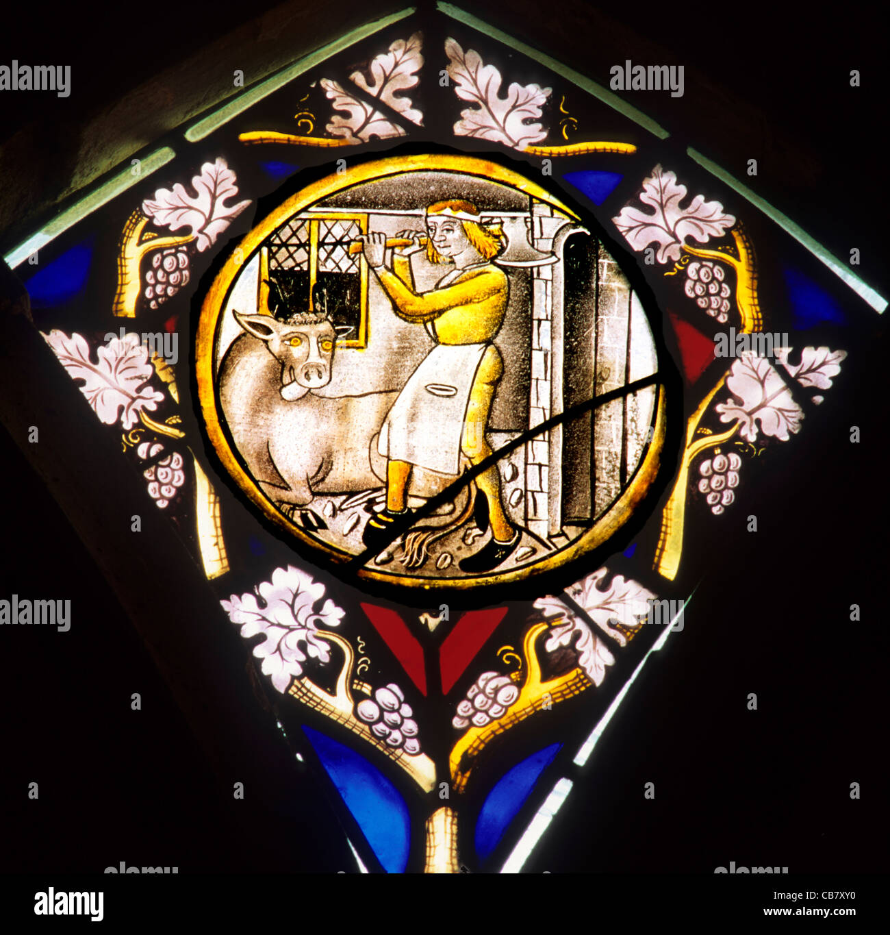 Medieval Stained Glass Roundel window, Labour of the Month, November, killing animal for Winter food, Denton, Norfolk England UK Stock Photo