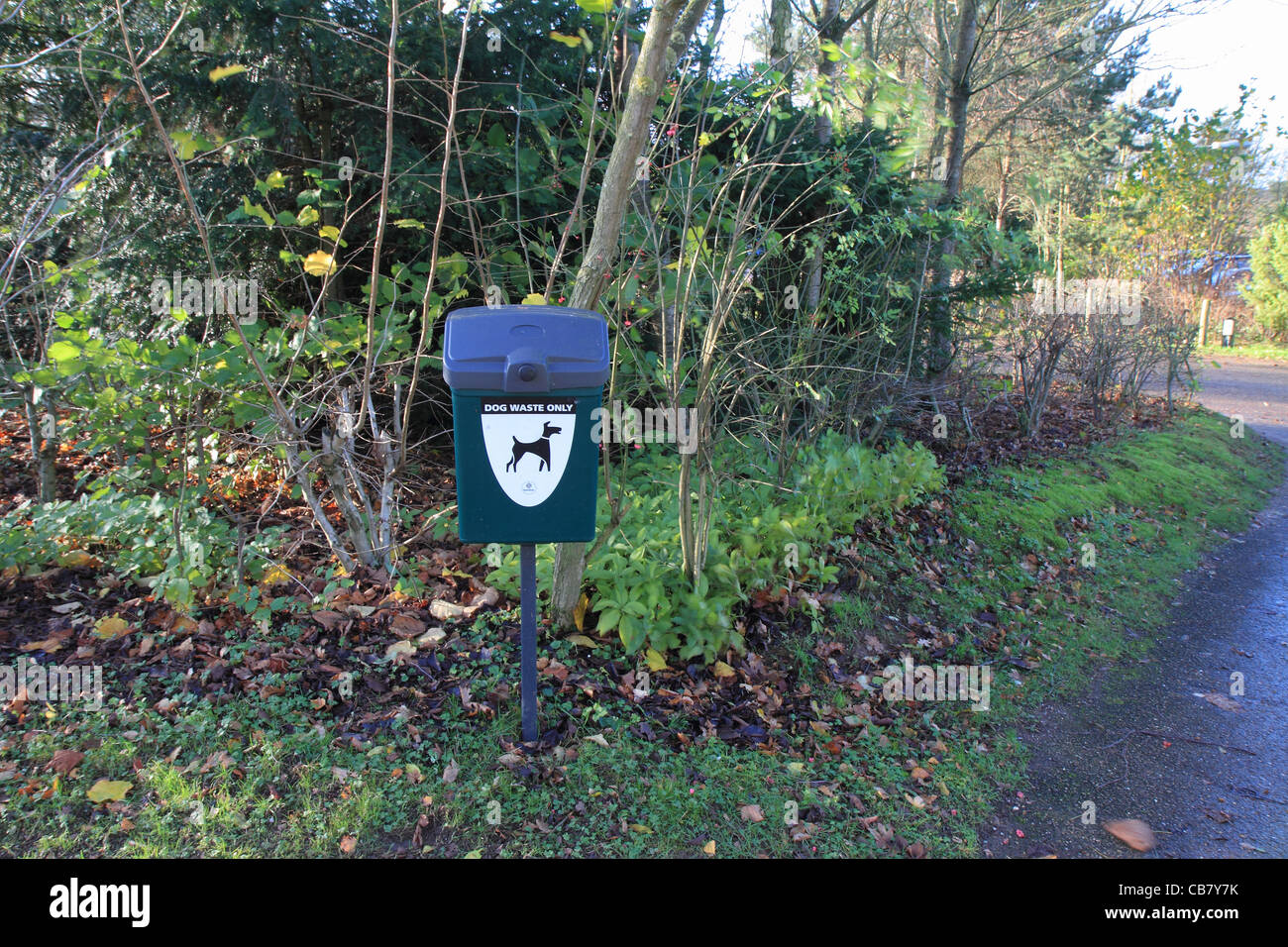 green dog waste bin litter bin Stock Photo Alamy