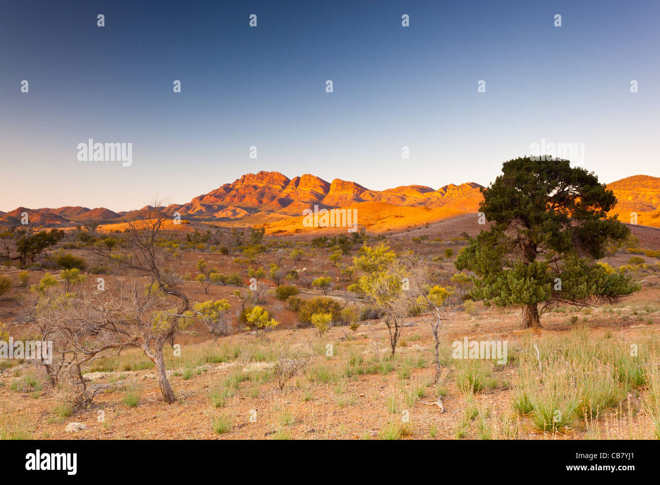 Early morning view over Arkaba Station from Moralana Scenic Drive to the Elder Range in the Flinders Ranges in South Australia Stock Photo
