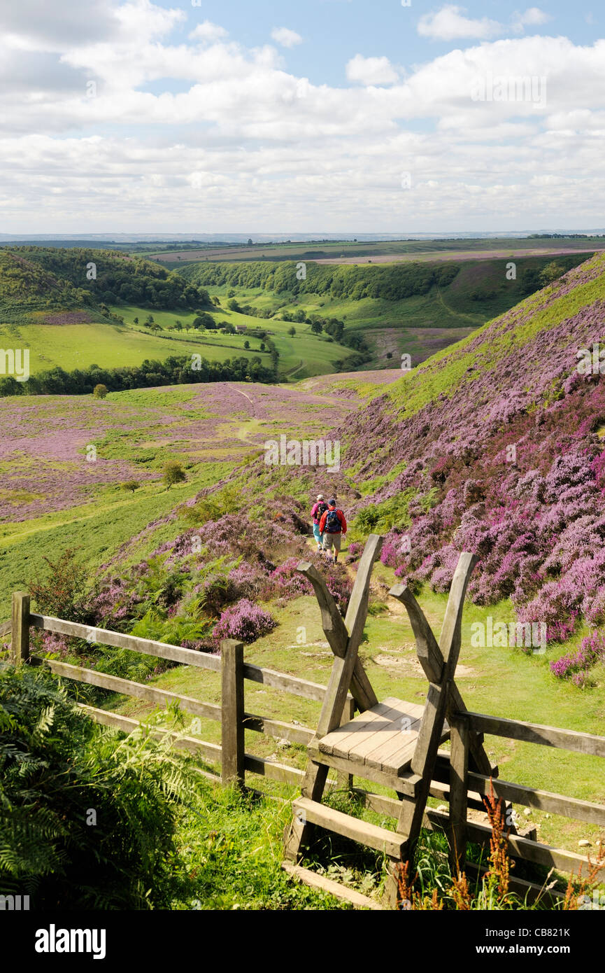 Stile, walkers and footpath south over heather covered Hole of Horcum moor land. North York Moors National Park, England. Summer Stock Photo