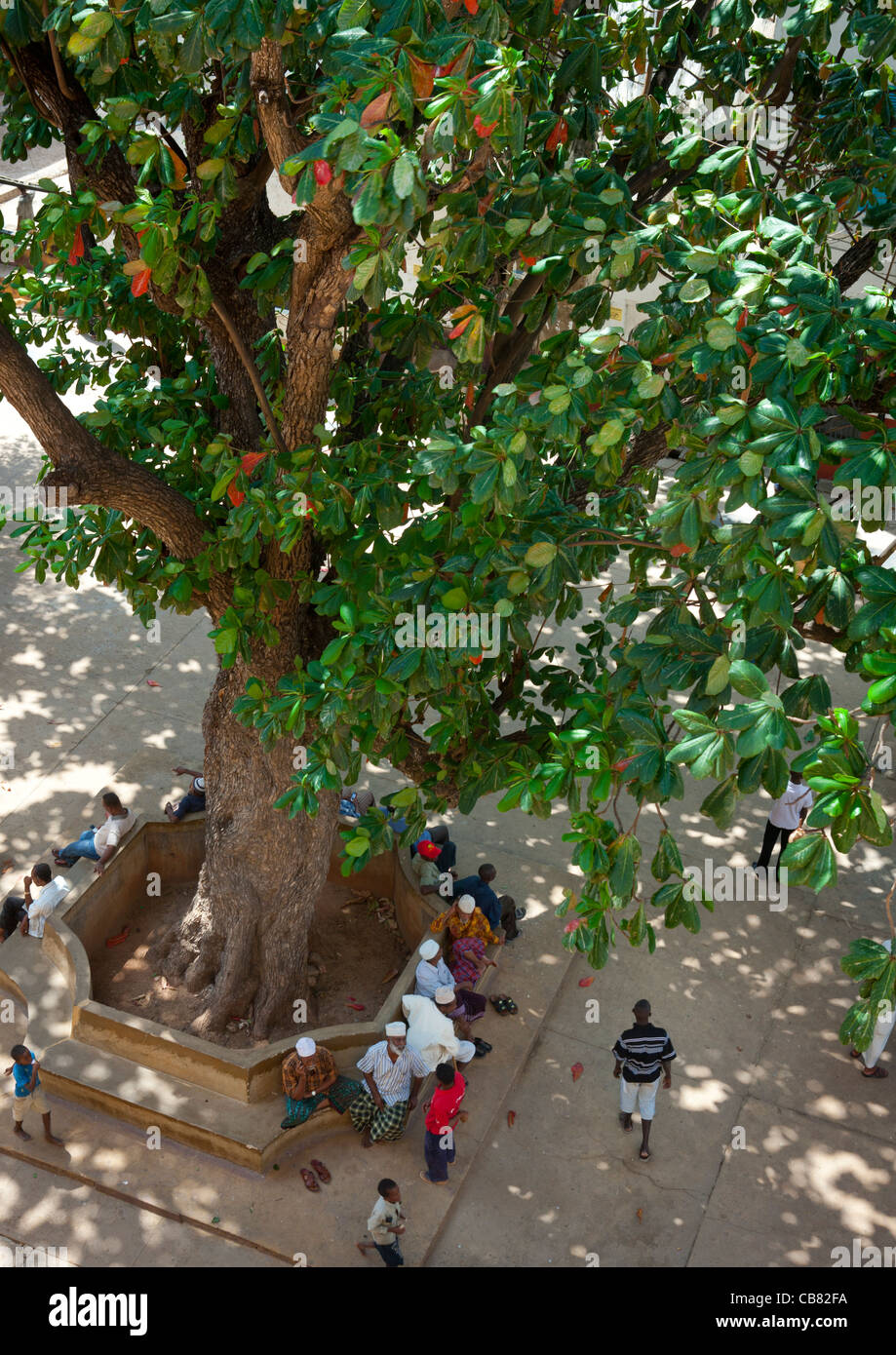 People Lazing On Lamu Square, Kenya Stock Photo