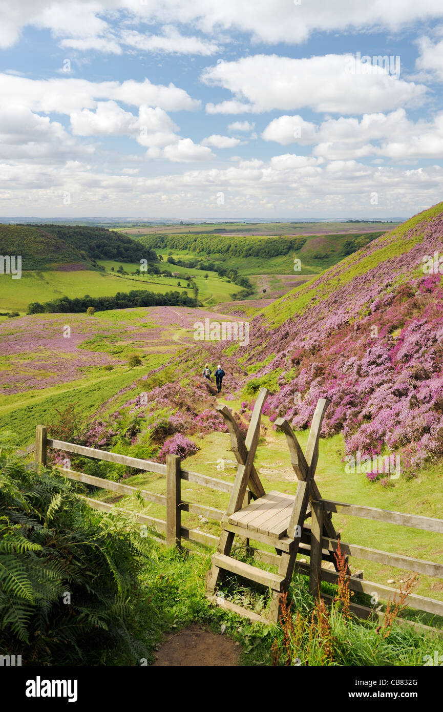 Stile, walkers and footpath south over heather covered Hole of Horcum moor land. North York Moors National Park, England. Summer Stock Photo