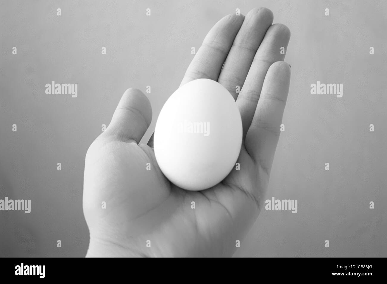 Egg in a hand Stock Photo