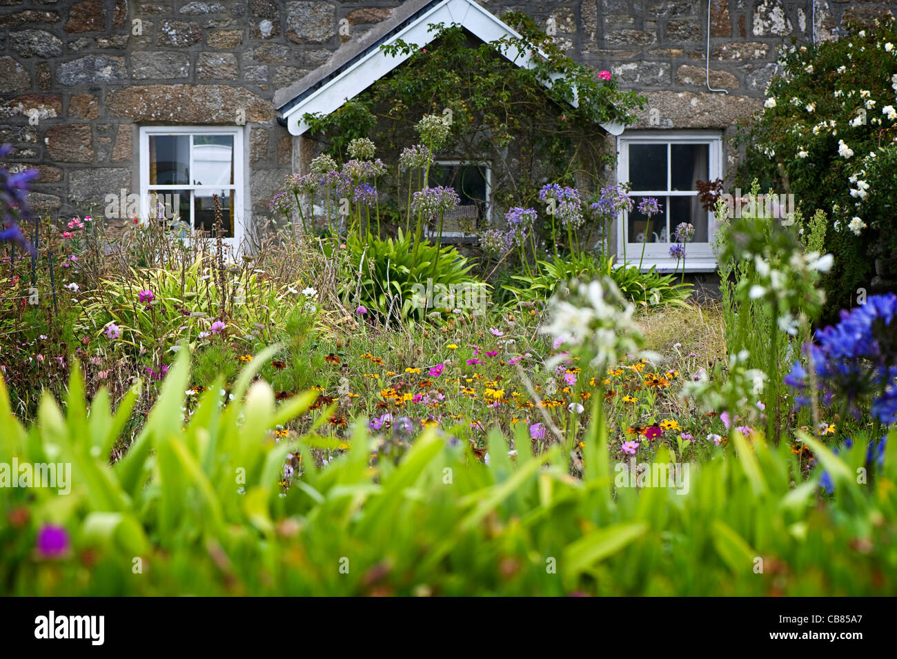 Cottage and garden Tresco Island Isles of Scilly Stock Photo
