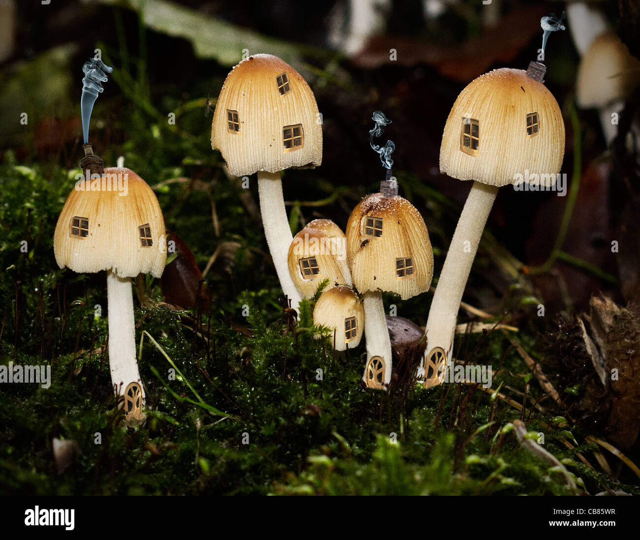 Mushroom houses fairy tale houses with smoke Stock Photo
