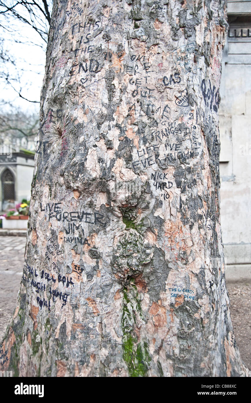 Inscriptions on tree in memory to Jim Morrison Stock Photo
