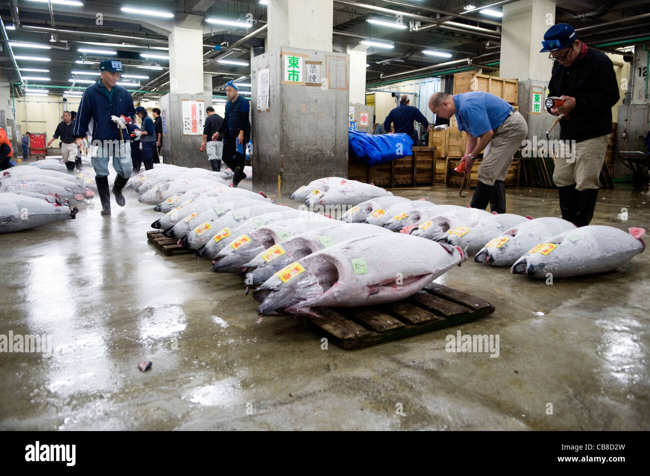 Tsukiji Fish Market Tokyo Japan Stock Photo - Alamy