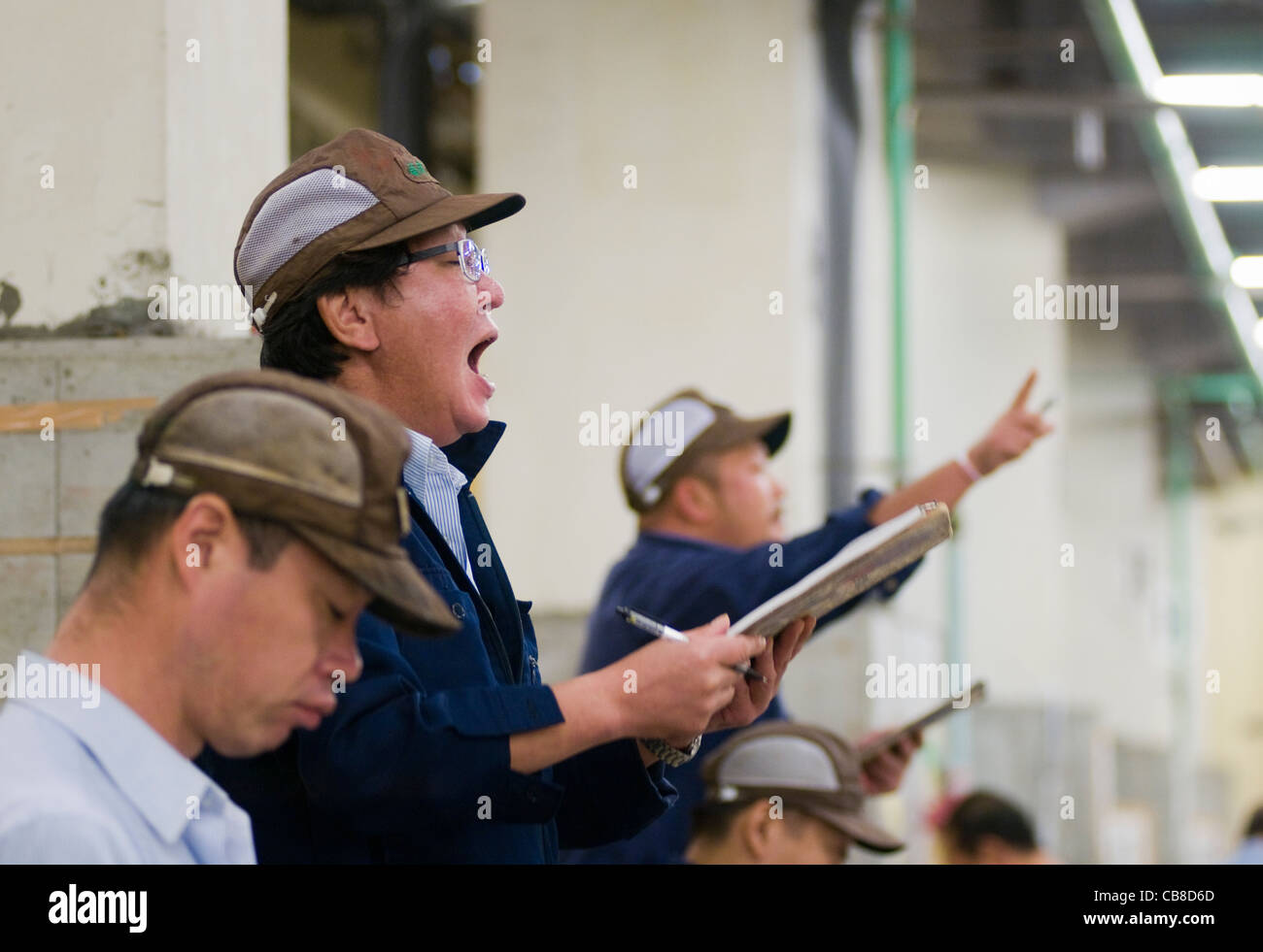 The auction at the Tsukiji Fish Market Tokyo Japan Stock Photo