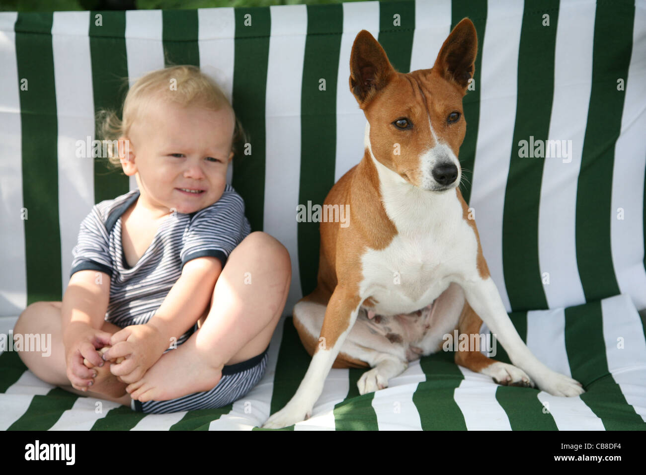 The child with a dog Basenji Stock Photo - Alamy