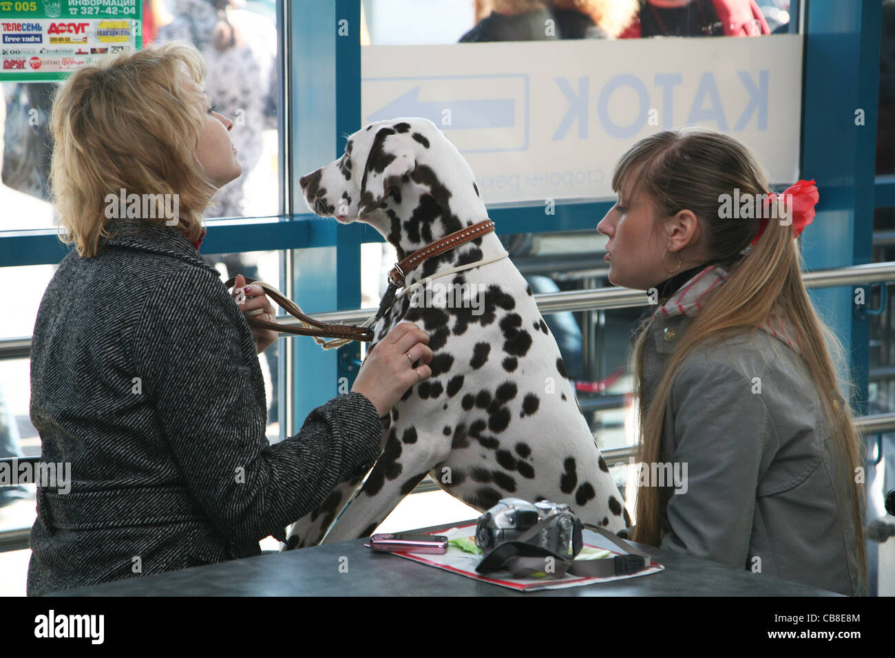 Two girls with a Dalmatian dog Stock Photo
