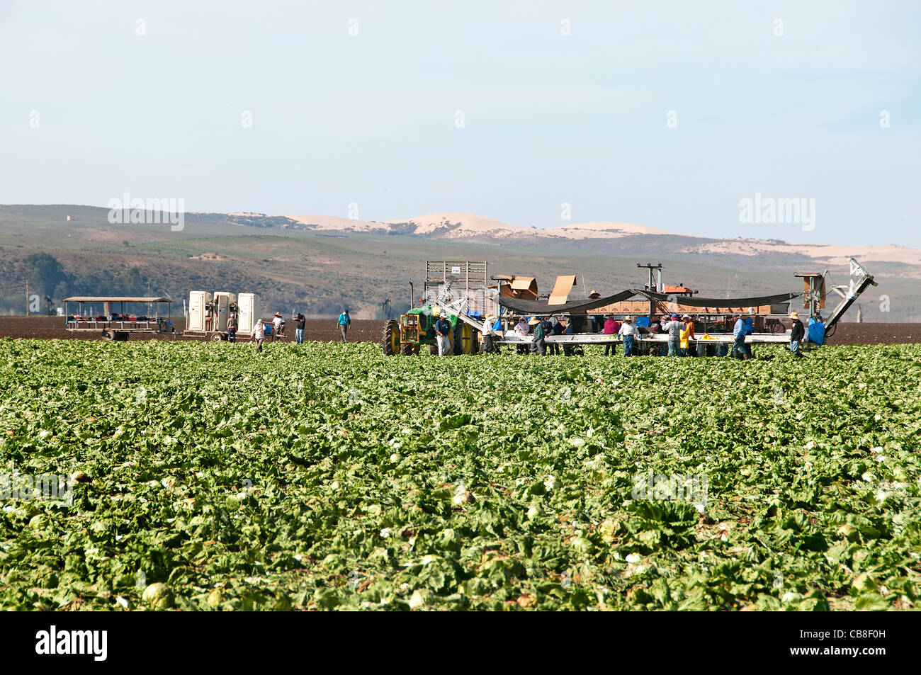 Santa Barbara County California Farm migrant work Workers Hispanic Mexican Mexico Harvest Farming Stock Photo