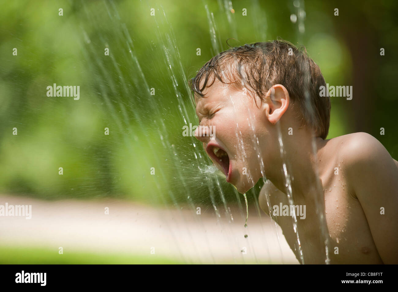 A boy tries to take a drink from a water sprinkler. Stock Photo