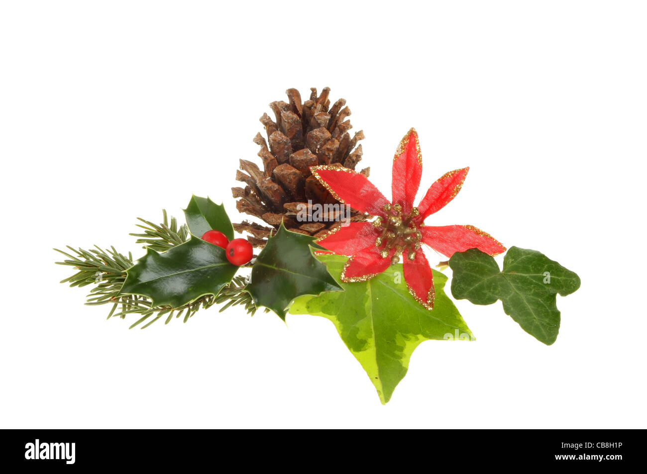 Christmas seasonal foliage, holly,ivy,pine needles, pinecone and an artificial red and gold flower isolated on white Stock Photo