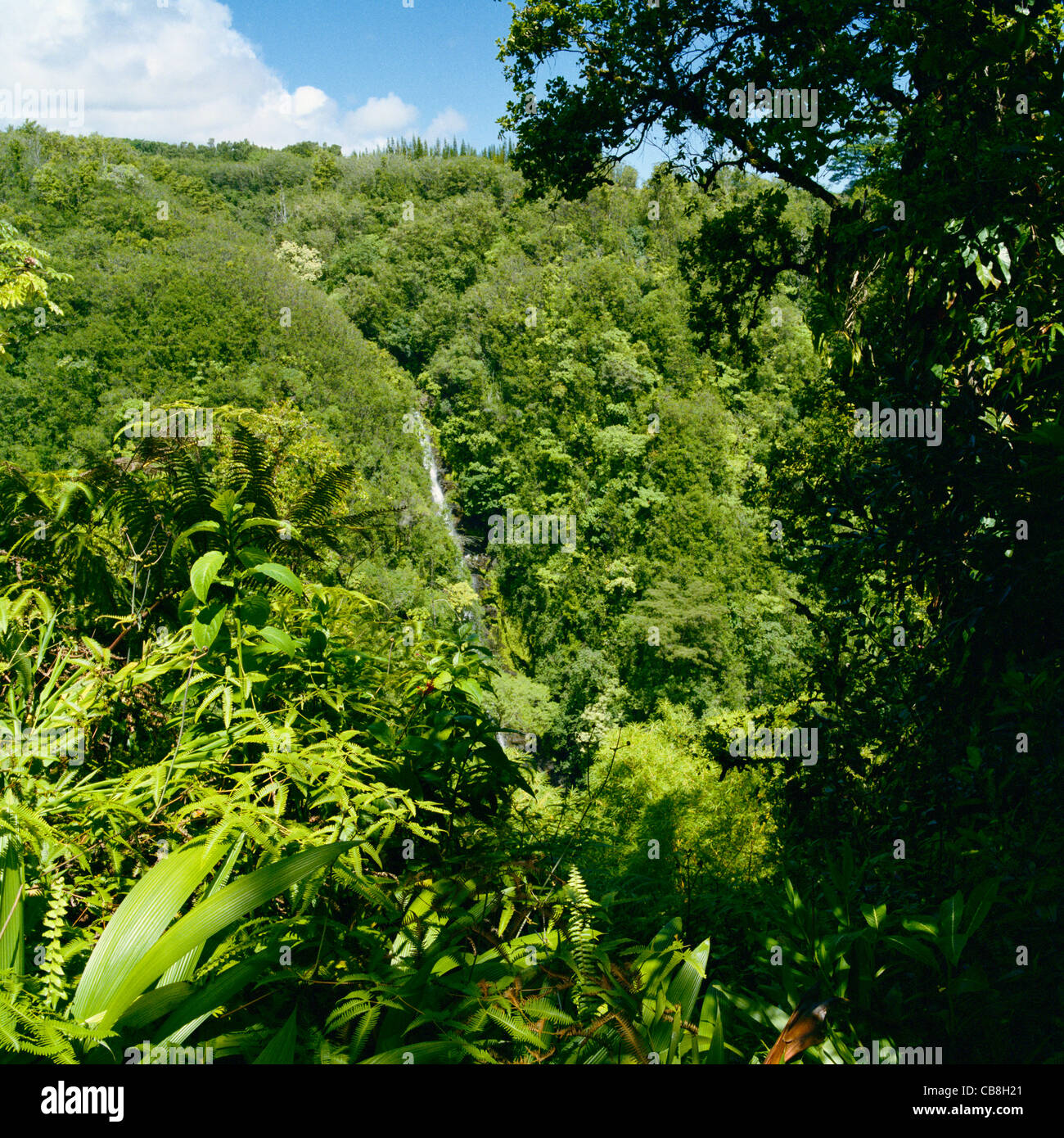 Kahuna Falls Big Island Hawaii Stock Photo Alamy