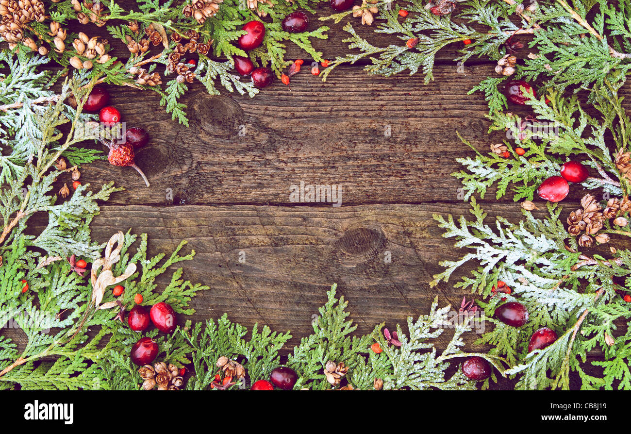 Richly toned Christmas background with cedar sprigs, berries, and maple keys on a grunge wood backdrop with copy space. Stock Photo
