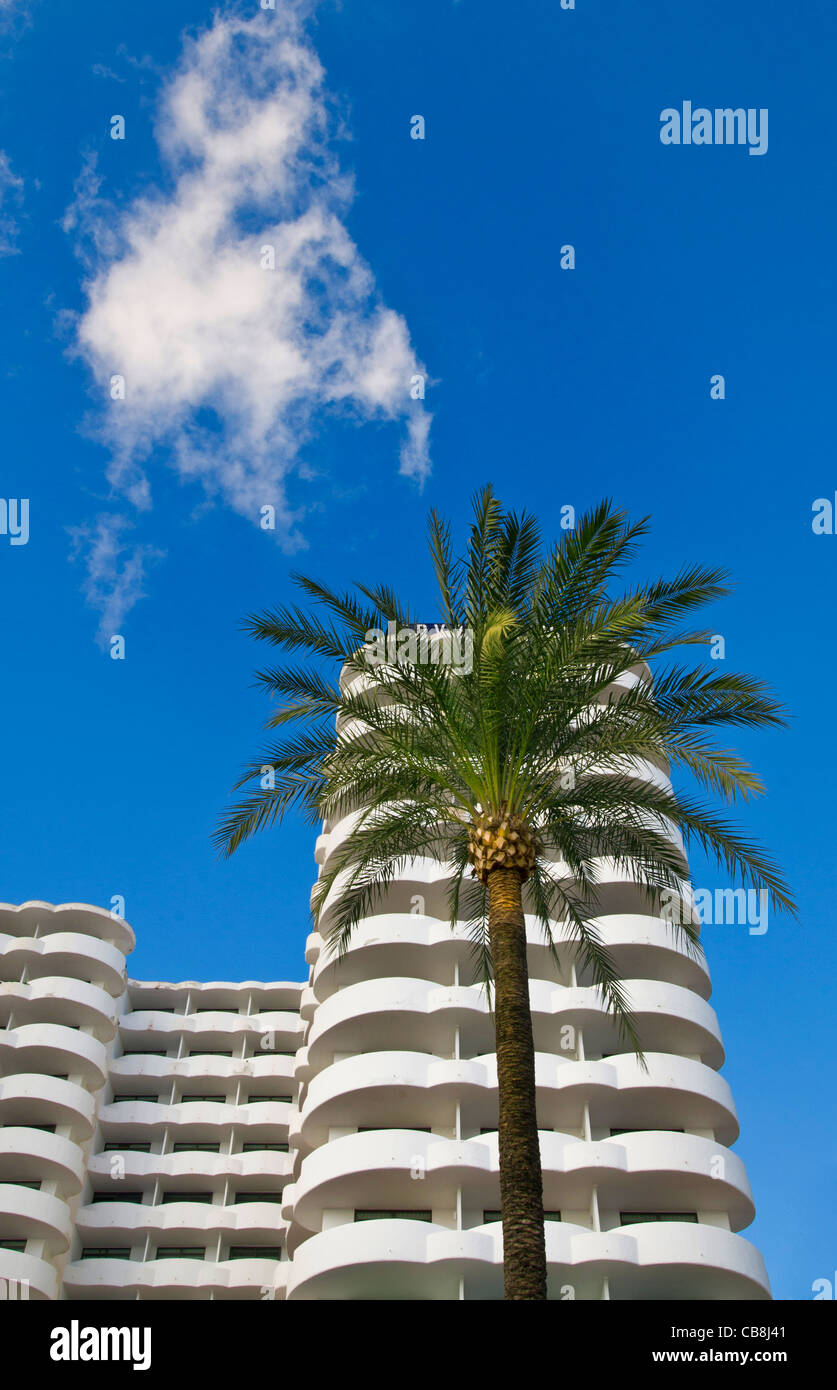 HOTEL PALM TREE BLUE SKY Attractive sunny  typical white 5 star luxury holiday resort 'Tryp Hotel' with balconies & palm tree Palma de Mallorca Spain Stock Photo