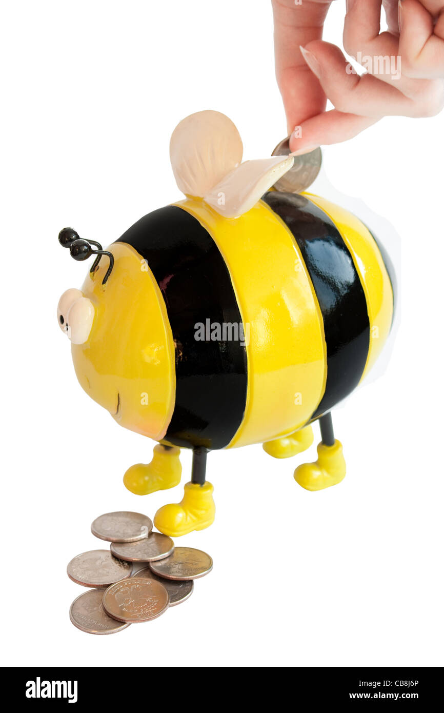 photo of the isolated on white bee moneybox with woman hand inserting
