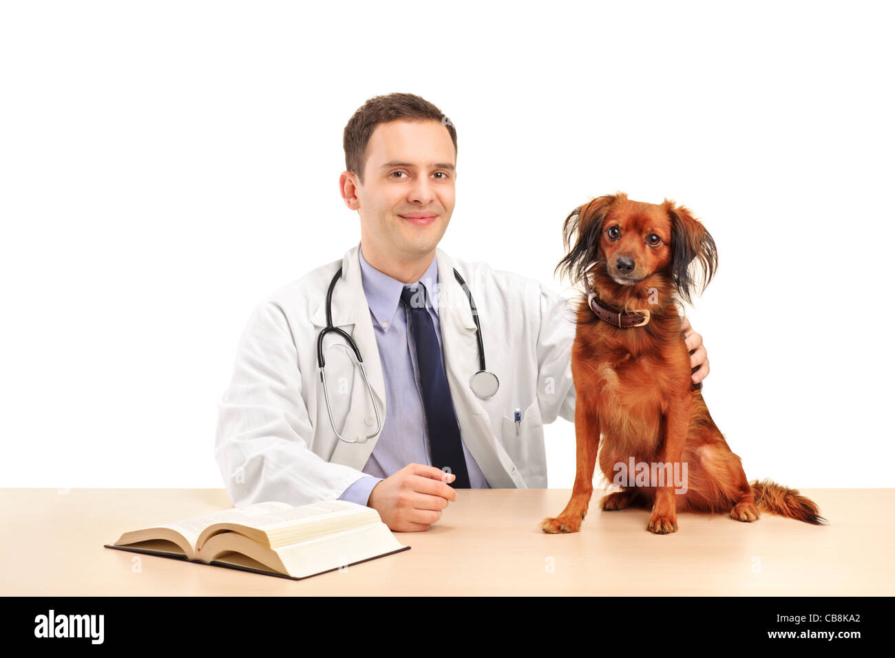 Veterinarian with a dog Stock Photo Alamy