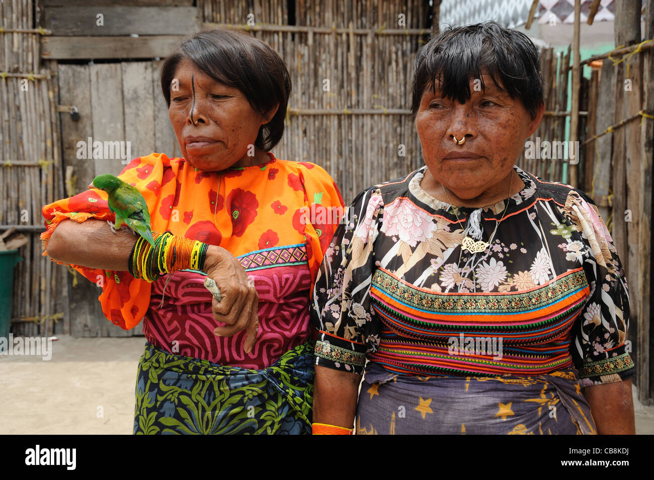 Kuna indian women with green parrot at Corbisky island in Kuna Yala, Panama. Stock Photo