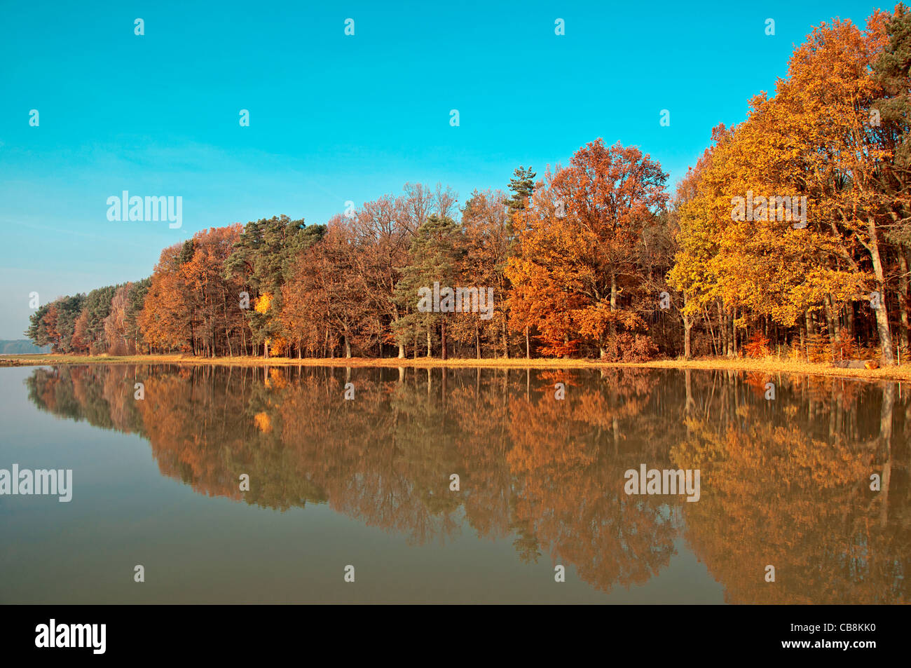 Sky and trees reflecting in pond hi-res stock photography and images ...
