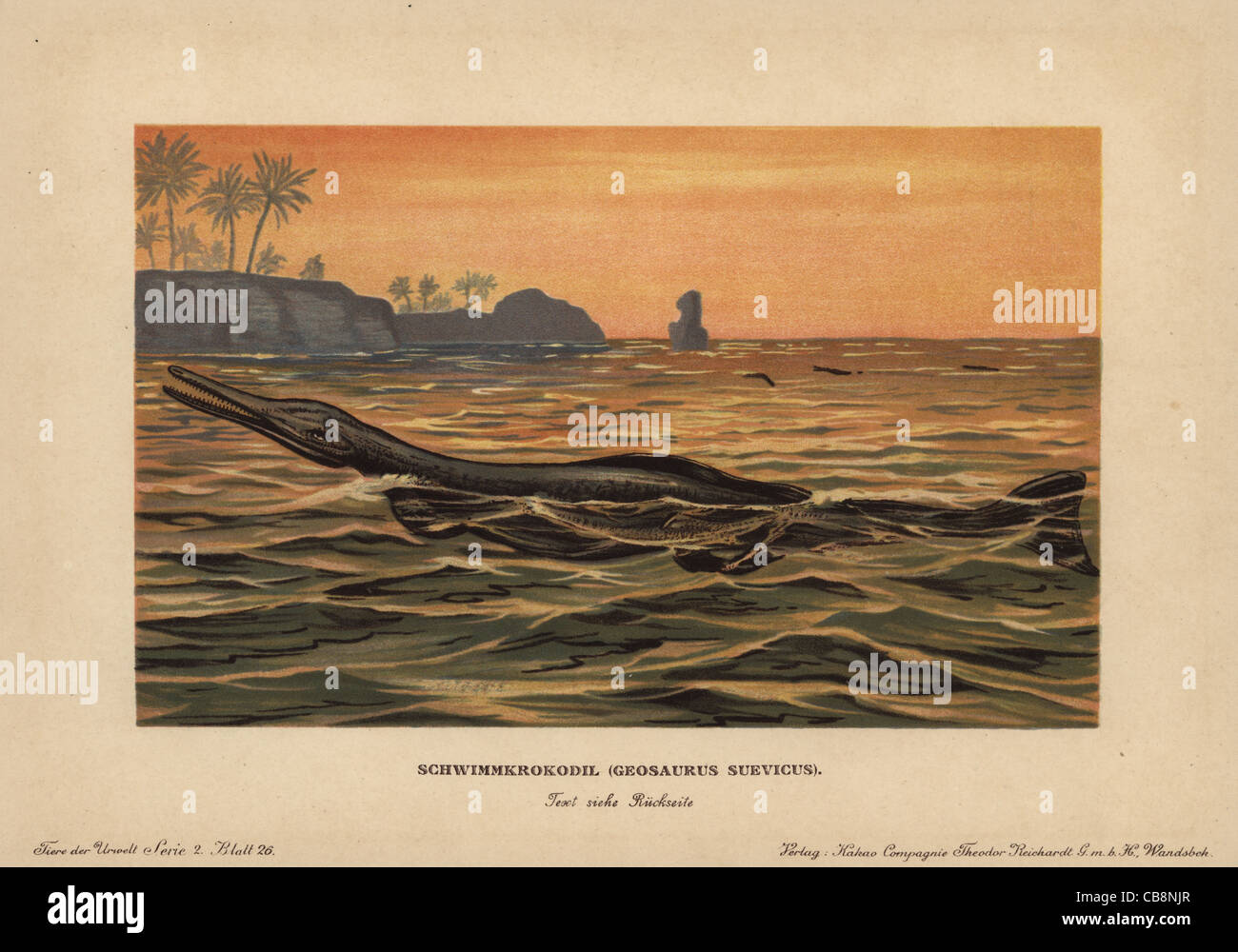 Geosaurus suevicus, an extinct marine crocodyliform from the Late