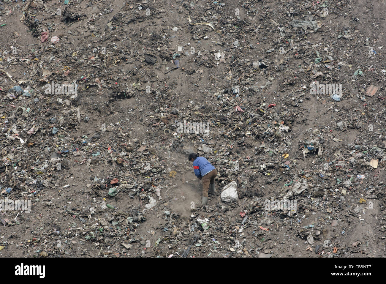 Poor Roma women (Gypsy) collecting garbage from refuse dump near town of Pazardzhik, Bulgaria Stock Photo