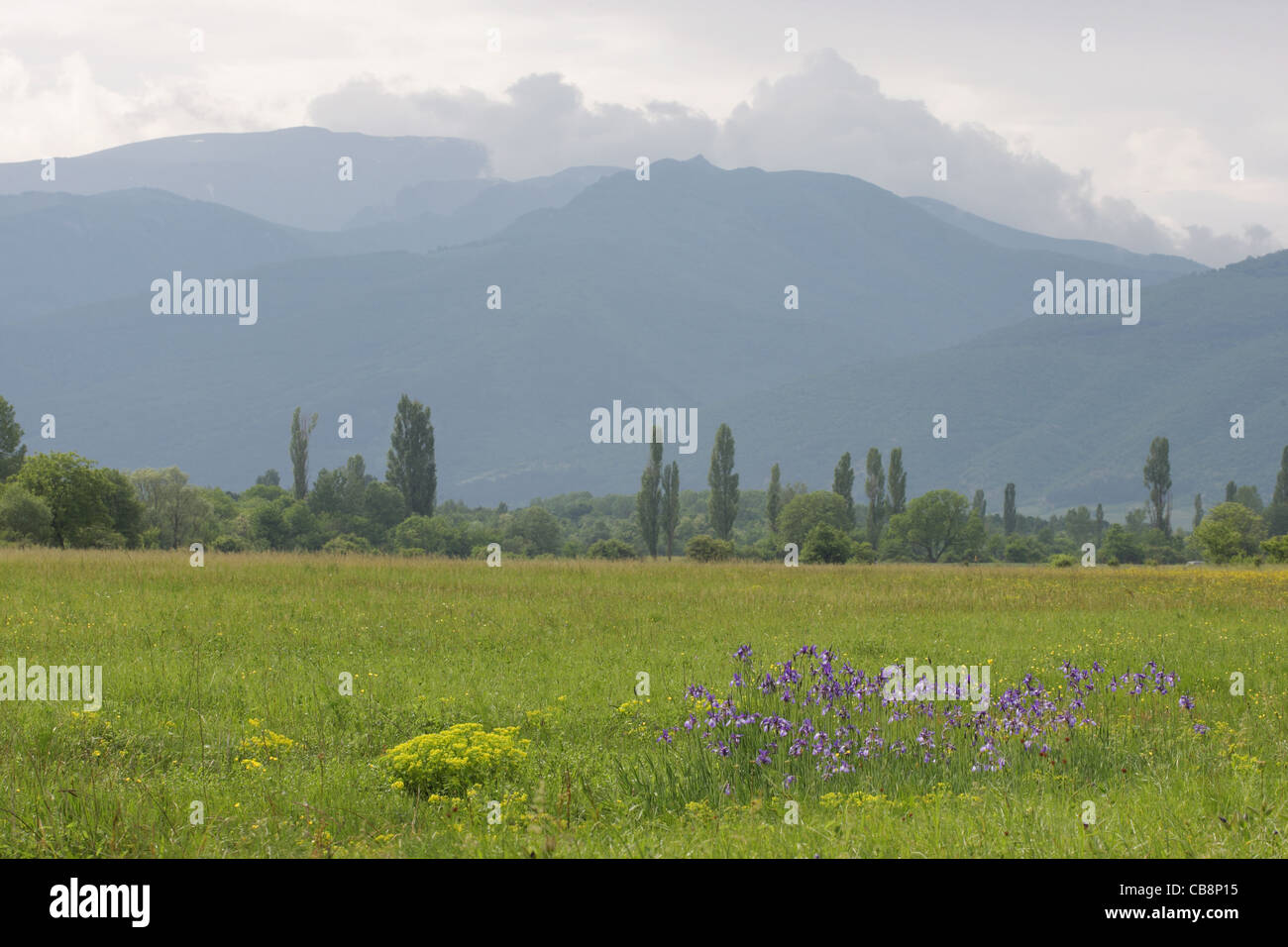 Landscape near Central Balkan National Park (in Stara planina Mts.), Bulgaria Stock Photo