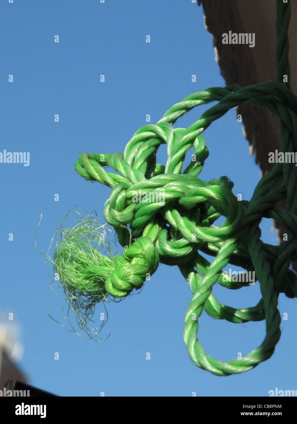 tangled green rope string on market stall stand outdoors Stock Photo ...