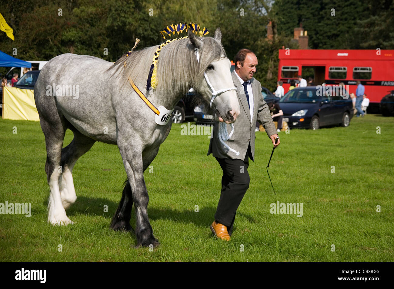 Shire Horse and Handler at Agricultural Show Stock Photo Alamy