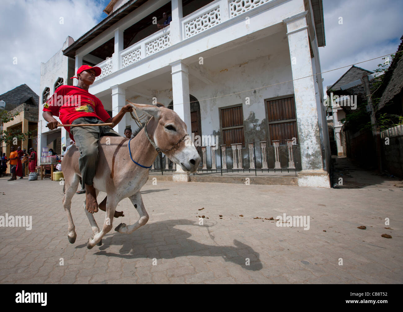 Donkeys race during Maulidi festival in Lamu Kenya Stock Photo Alamy