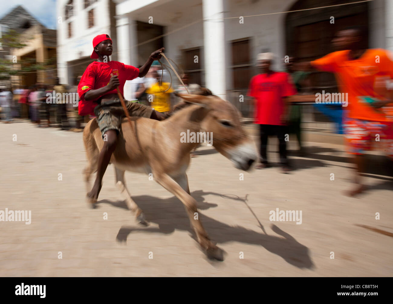 Donkeys race during Maulidi festival in Lamu Kenya Stock Photo Alamy