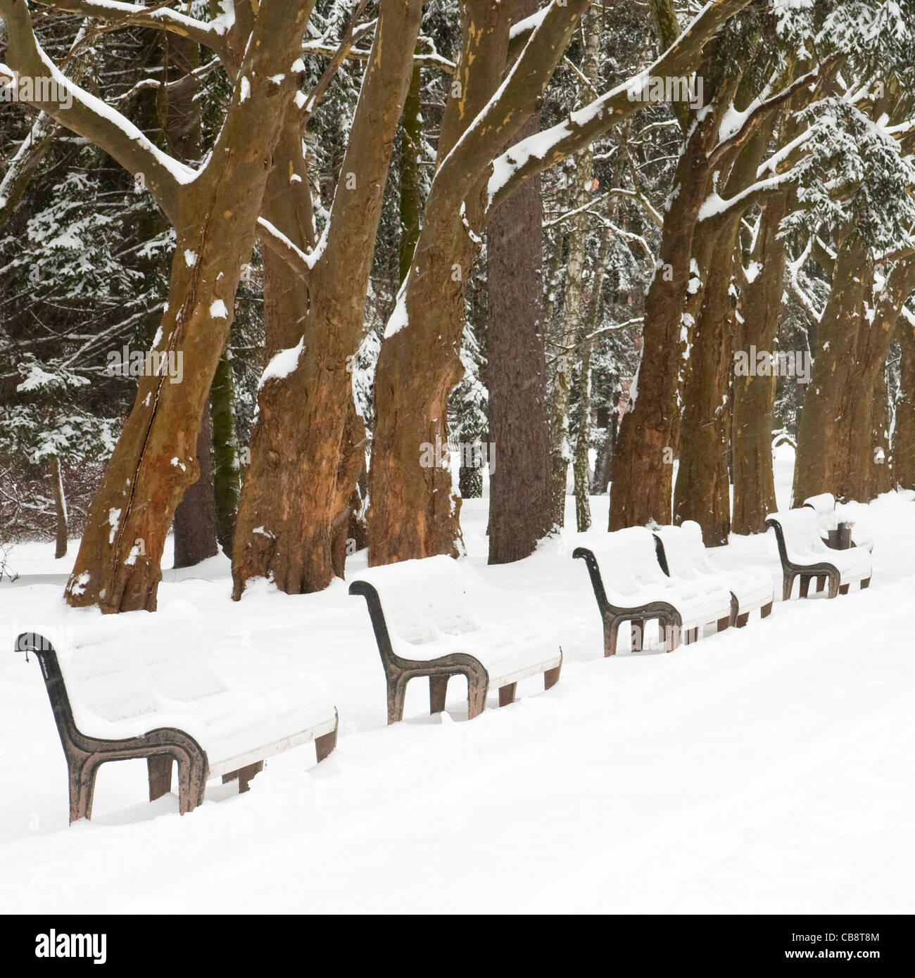 Benches in a park covered with snow Stock Photo - Alamy
