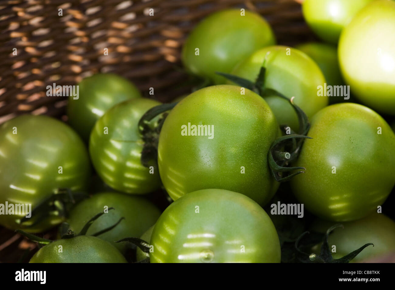 Harvest of Green Tomatoes in a Basket Stock Photo - Alamy