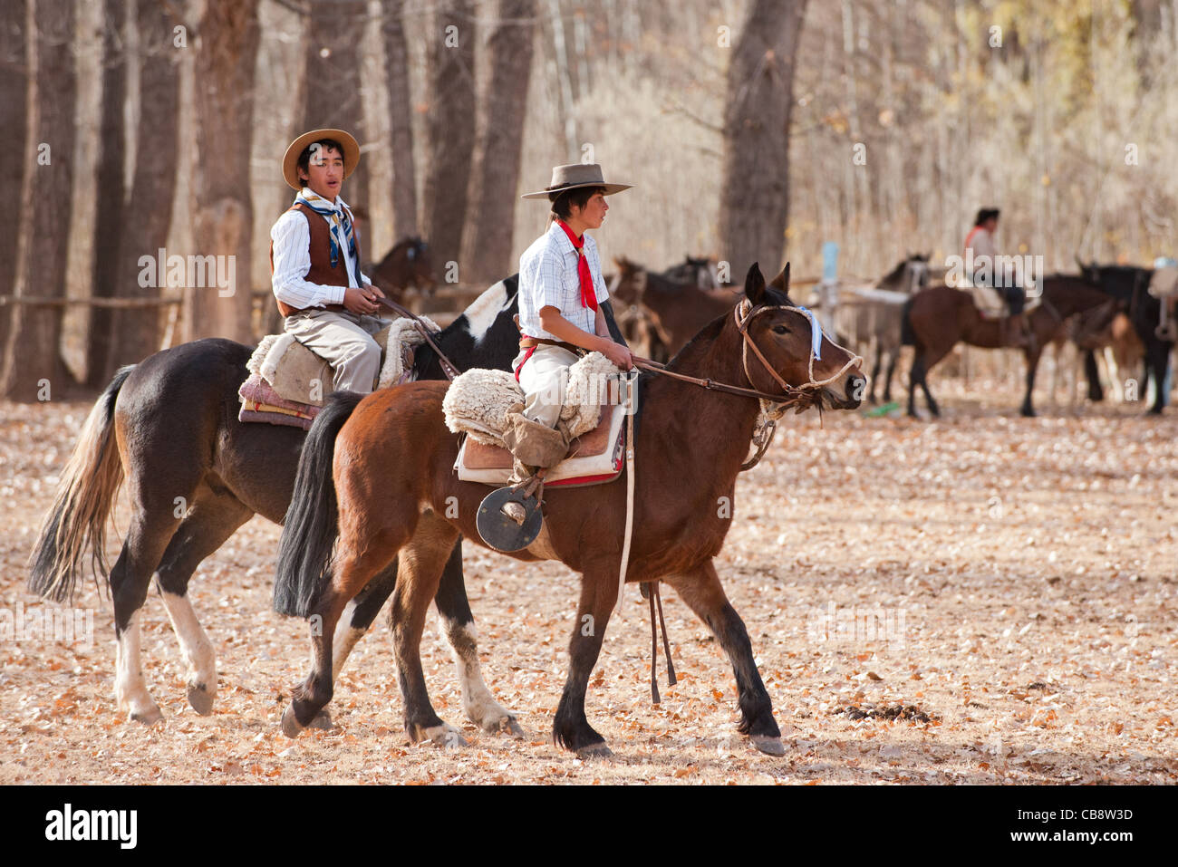 Gauchos riding a horse in exhibitions for Argentina 200 hundreds years anniversary. Stock Photo