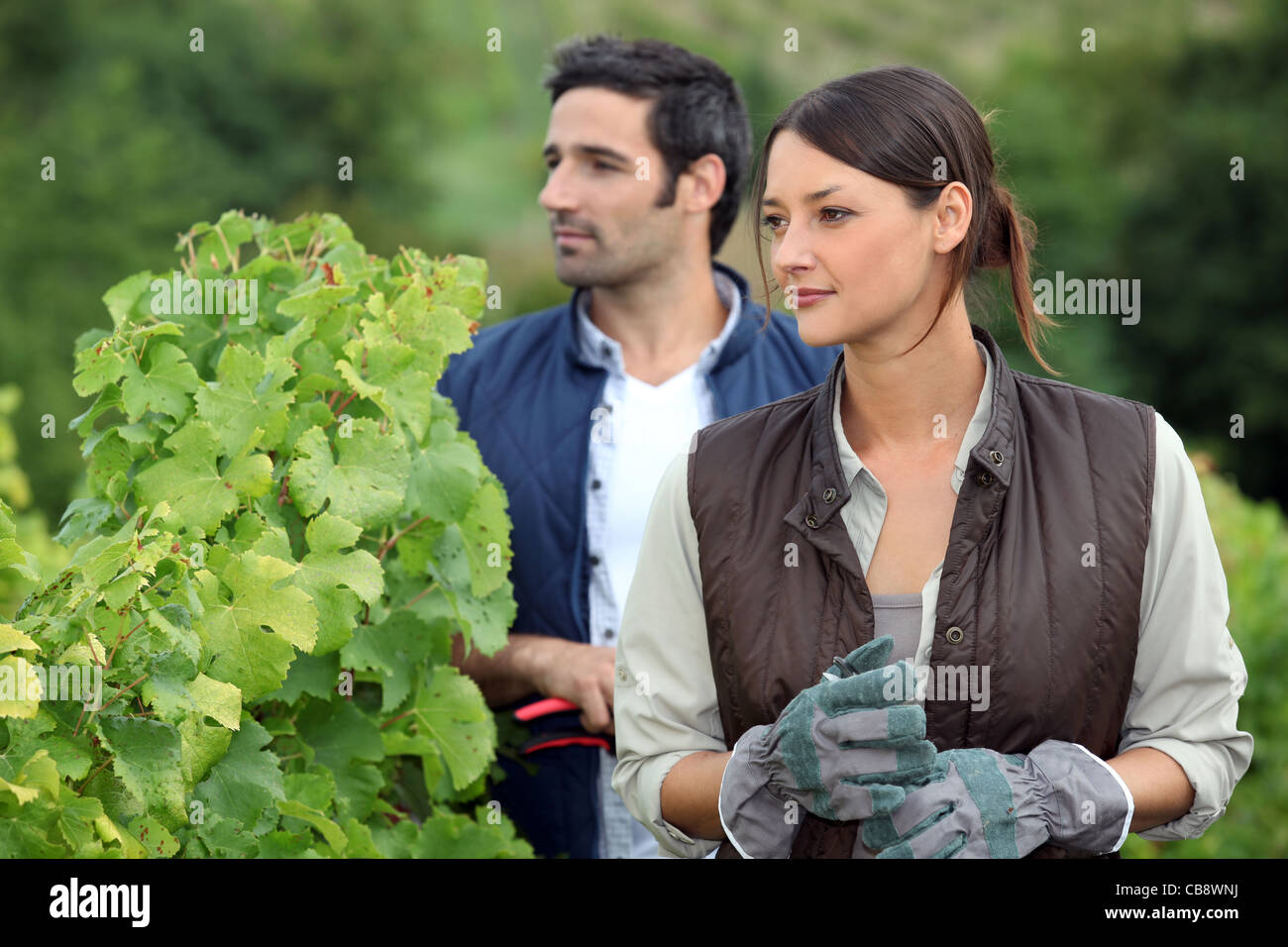 Farmer and wife in field Stock Photo - Alamy