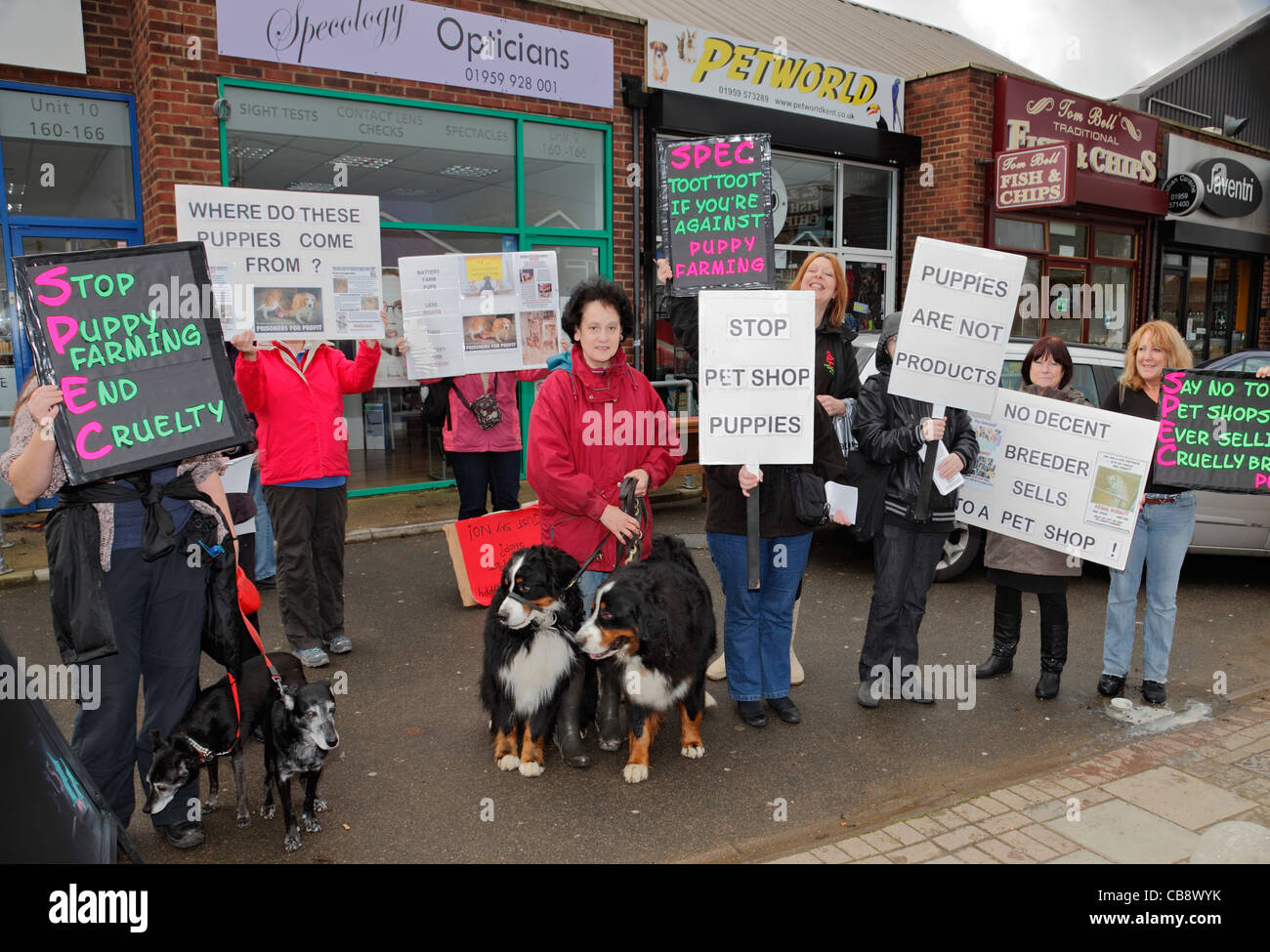 Savage dog attack on Nunhead woman's one-year-old Chihuahua - Southwark News