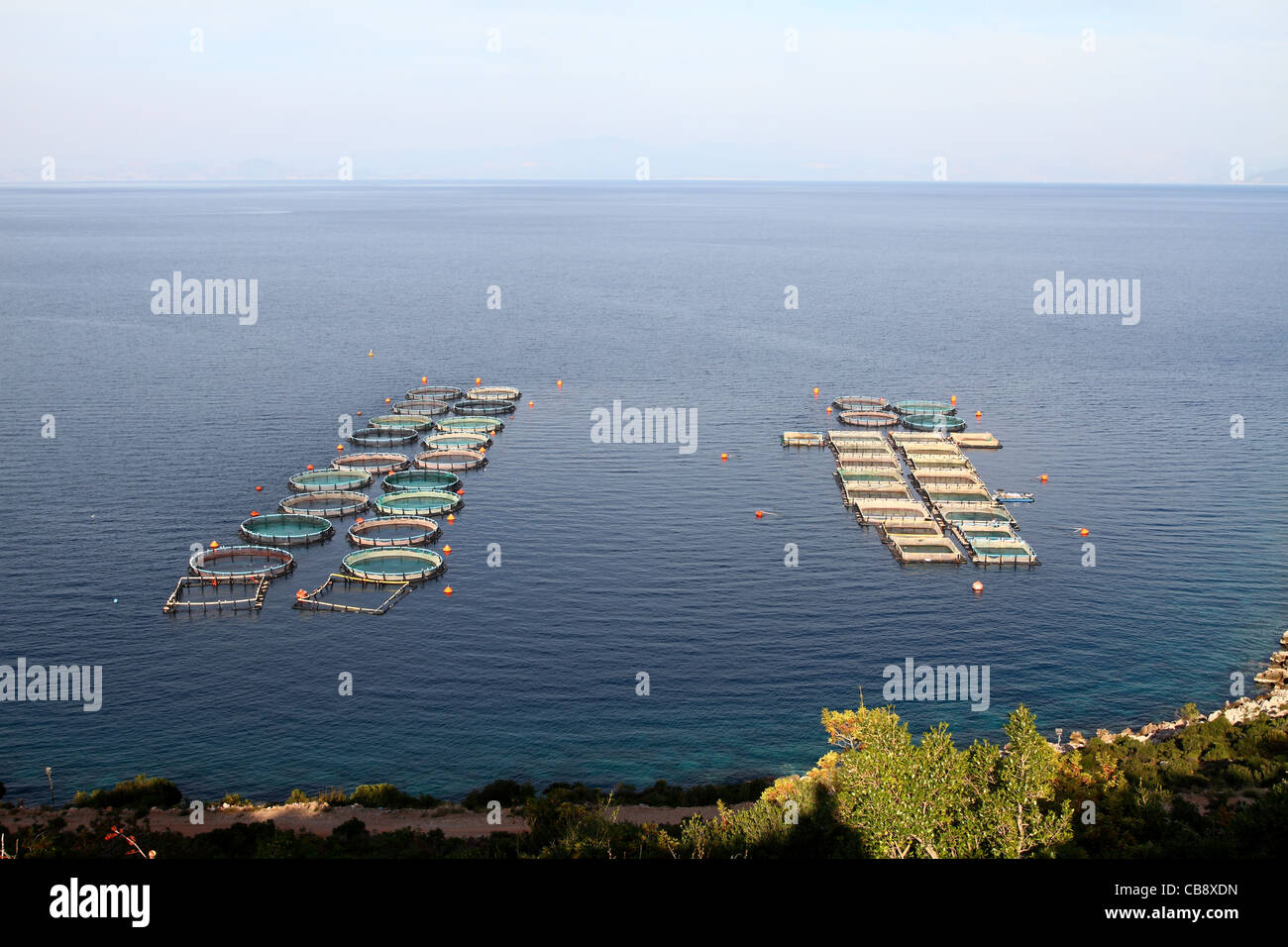 Aquacultrure, fish farms in Peloponesse, Greece Stock Photo Alamy