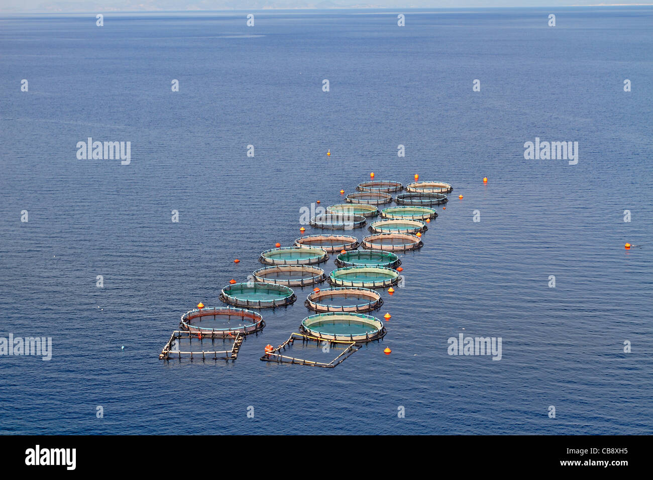 Aquacultrure, fish farms in Peloponesse, Greece Stock Photo Alamy