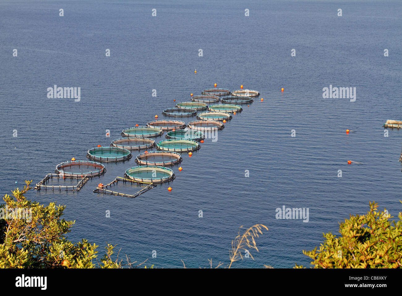 Aquacultrure, fish farms in Peloponesse, Greece Stock Photo Alamy