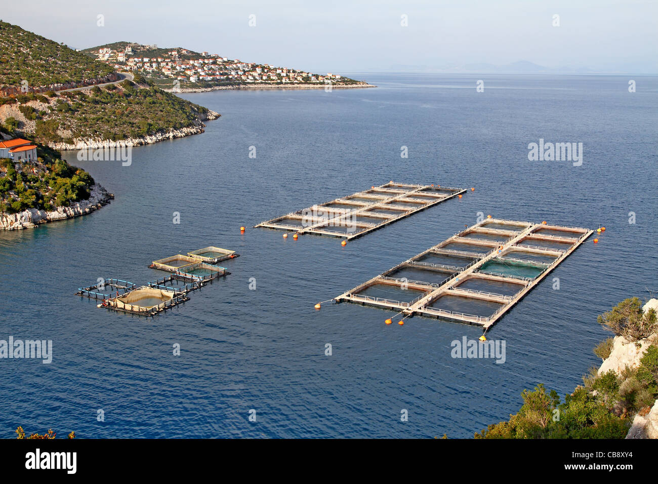 Aquacultrure, fish farms in Peloponesse, Greece Stock Photo Alamy