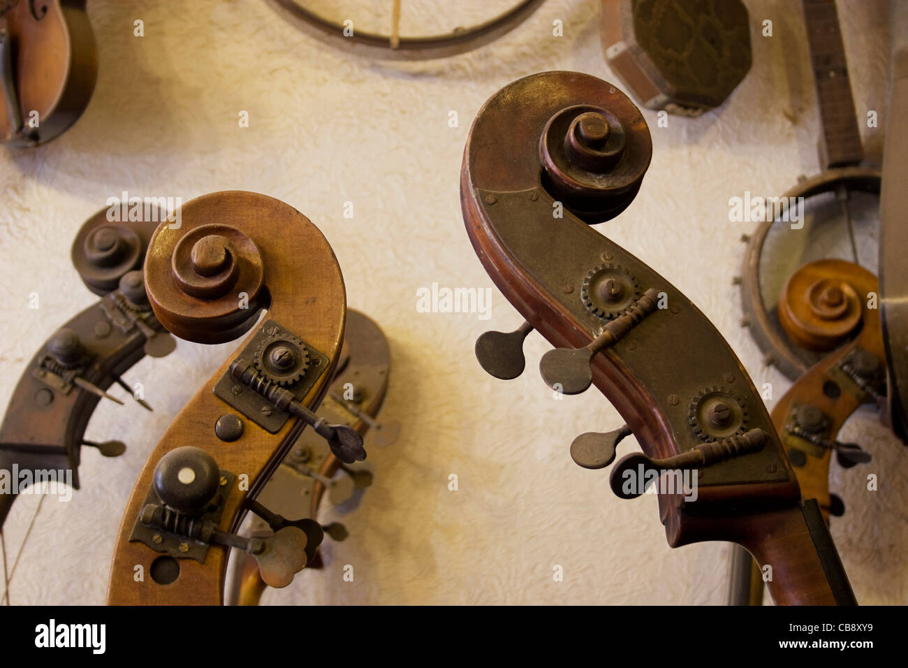 Several cellos in a luthier's shop in need of repair. Stock Photo