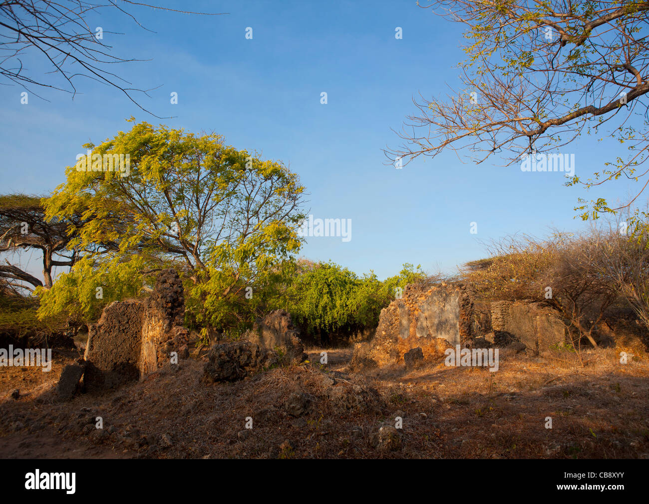 Takwa Ruins In Manda Island, Lamu, Kenya Stock Photo - Alamy