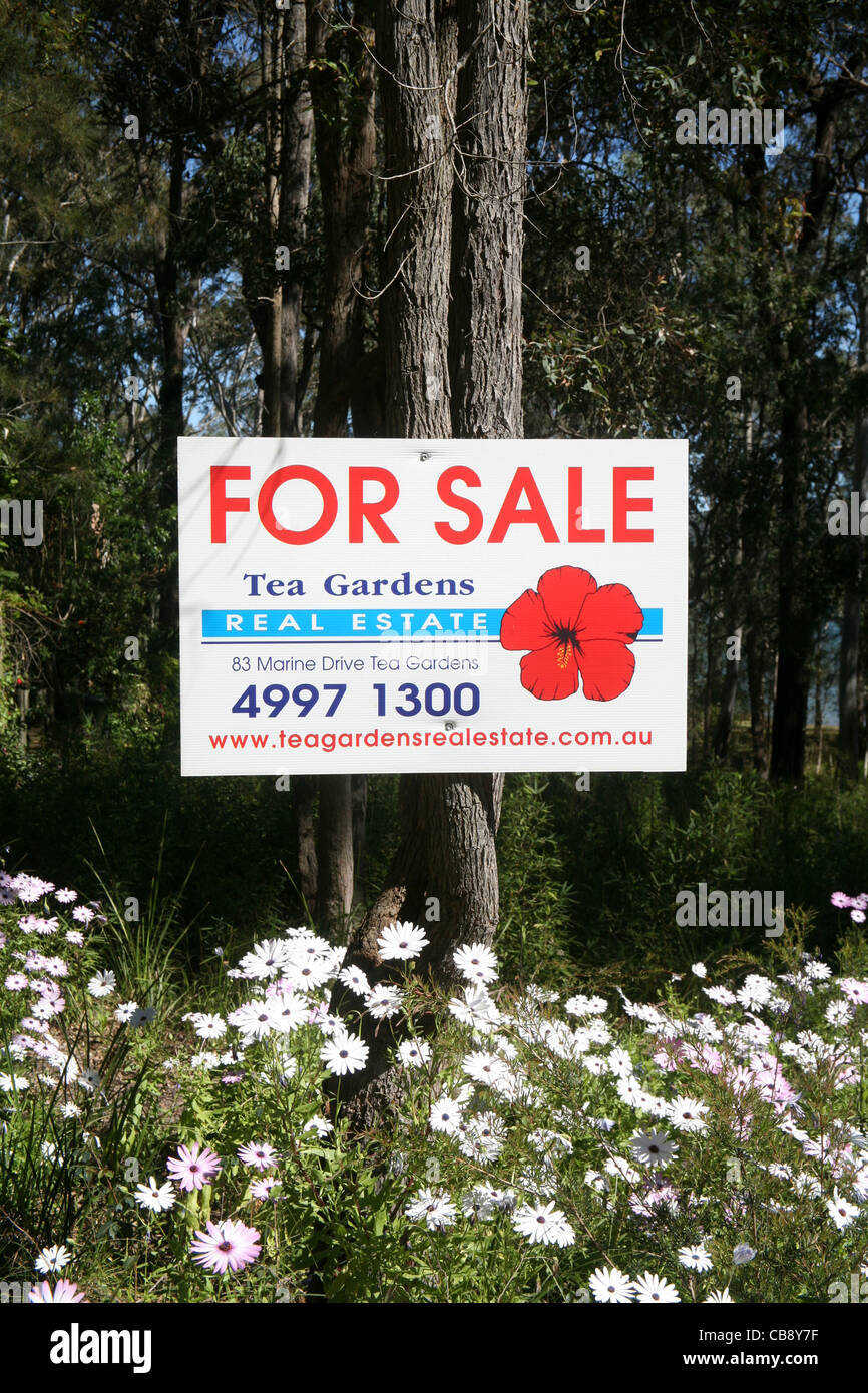 For Sale sign on a block of land with spring flowers< Tea Gardens, NSW Australia Stock Photo