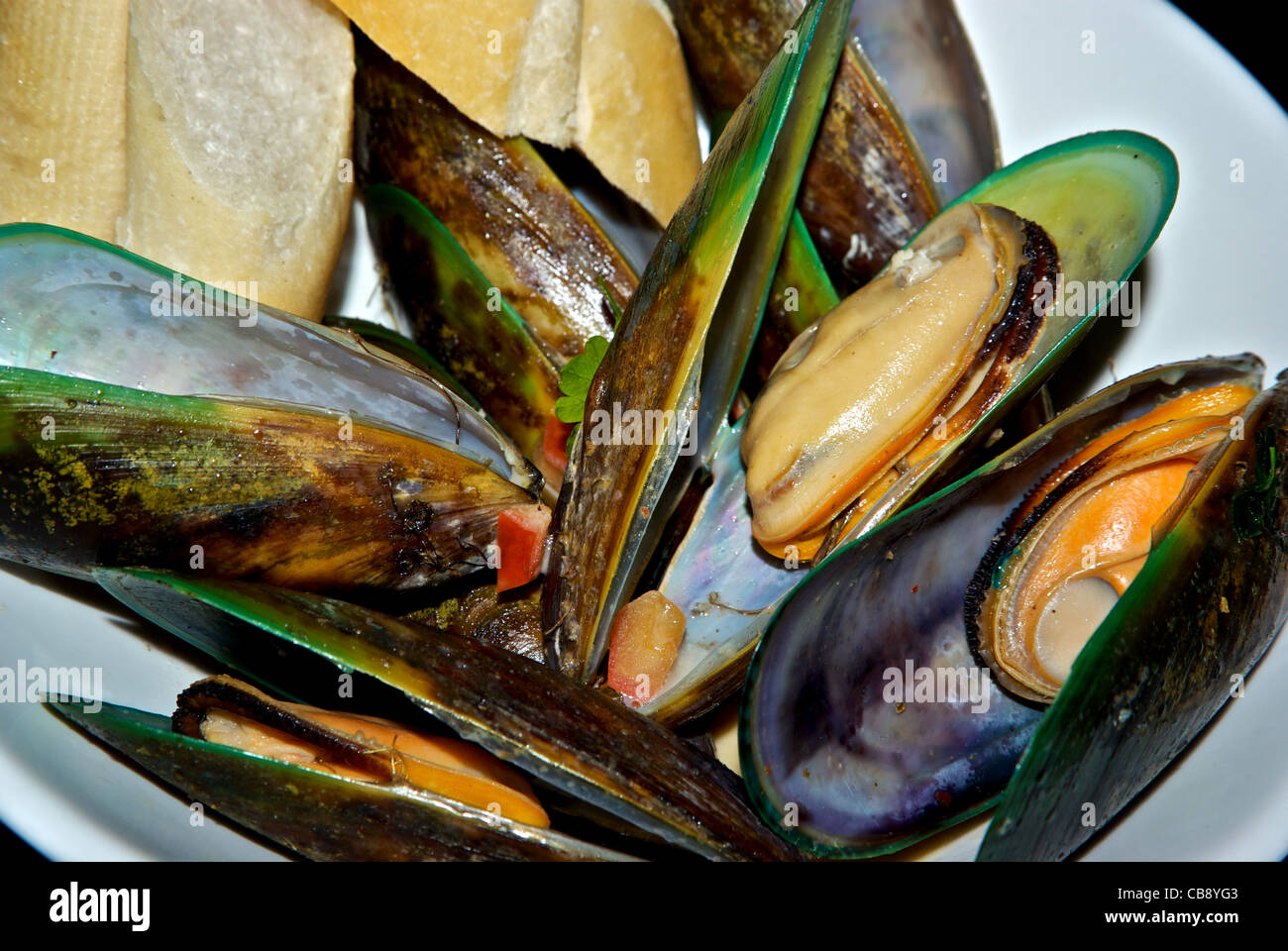 Whole steamed green lipped mussels seafood appetizer in shell baguette