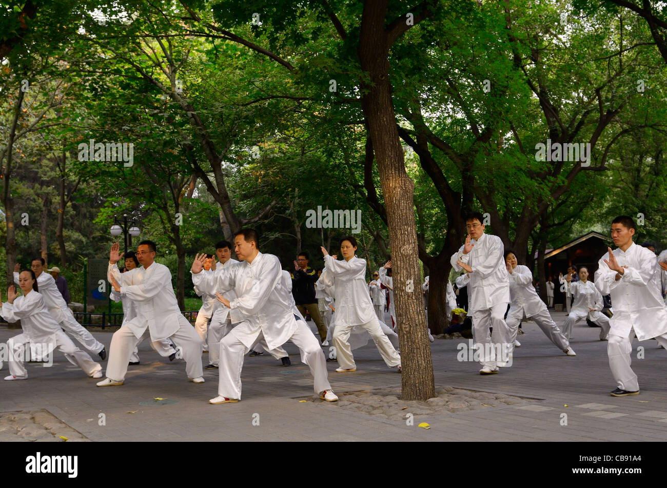 Morning Tai Chi exercises under trees in Zizhuyuan Purple Bamboo Park in Beijing on National holiday Peoples Republic of China Stock Photo