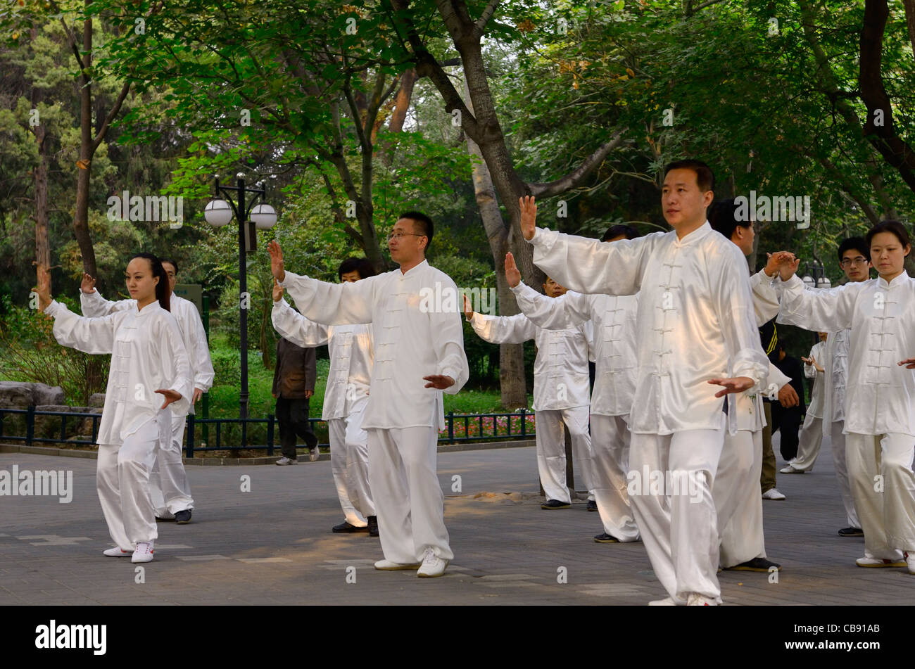 Morning Tai Chi exercise class under trees in Zizhuyuan Purple Bamboo