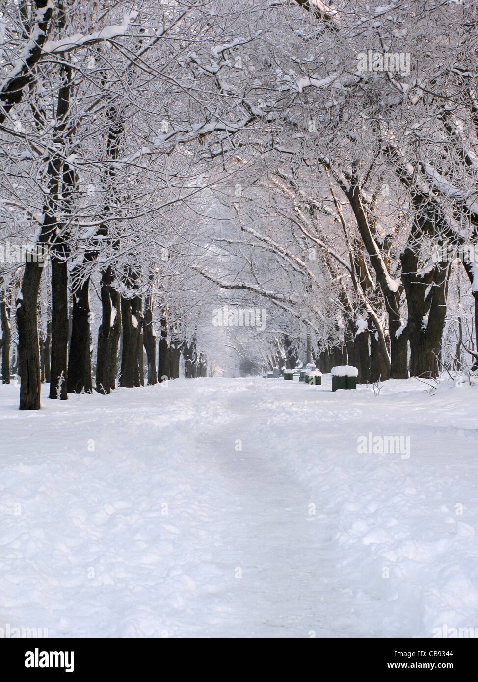 park at winter Stock Photo