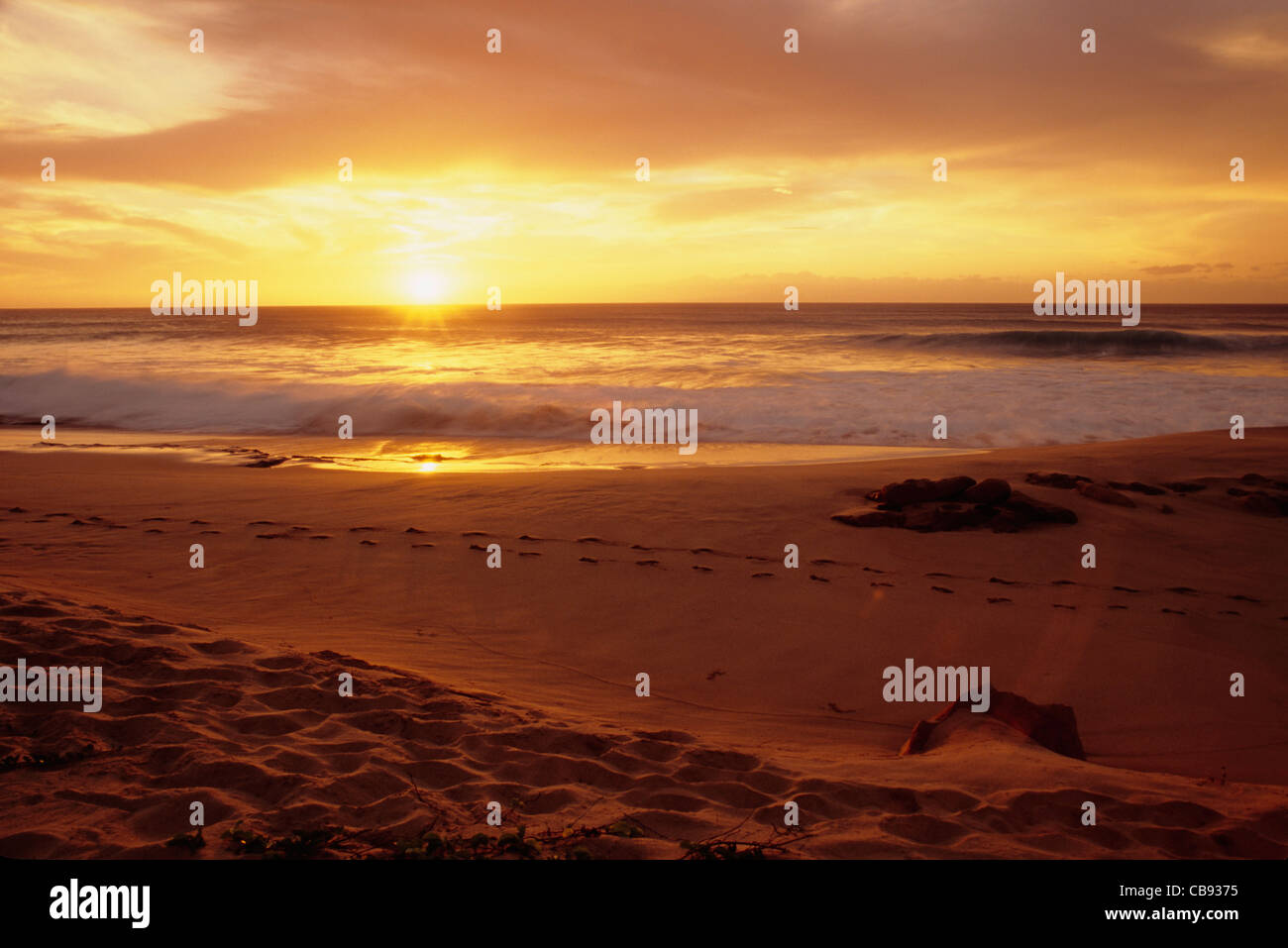 Kahlua Koi Kaluakoi beach hi-res stock photography and images - Alamy